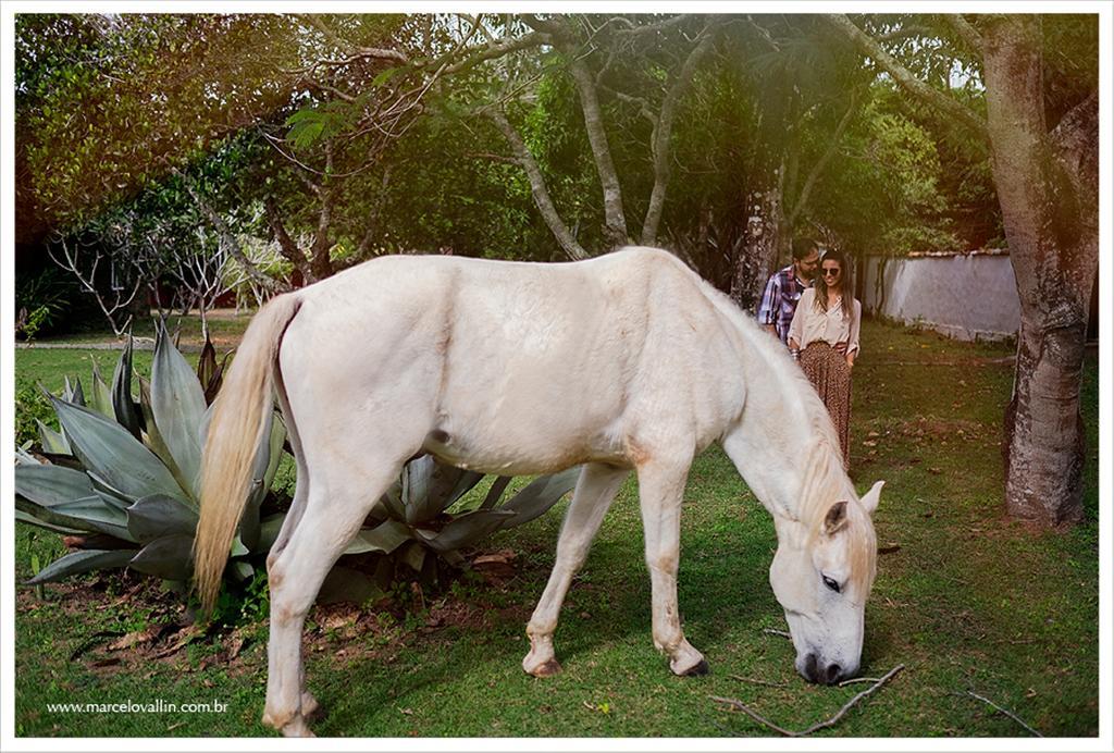 Pousada Fazendinha Buzios Luaran gambar
