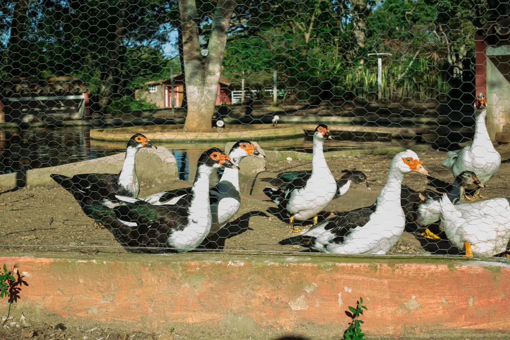 Pousada Fazendinha Buzios Luaran gambar