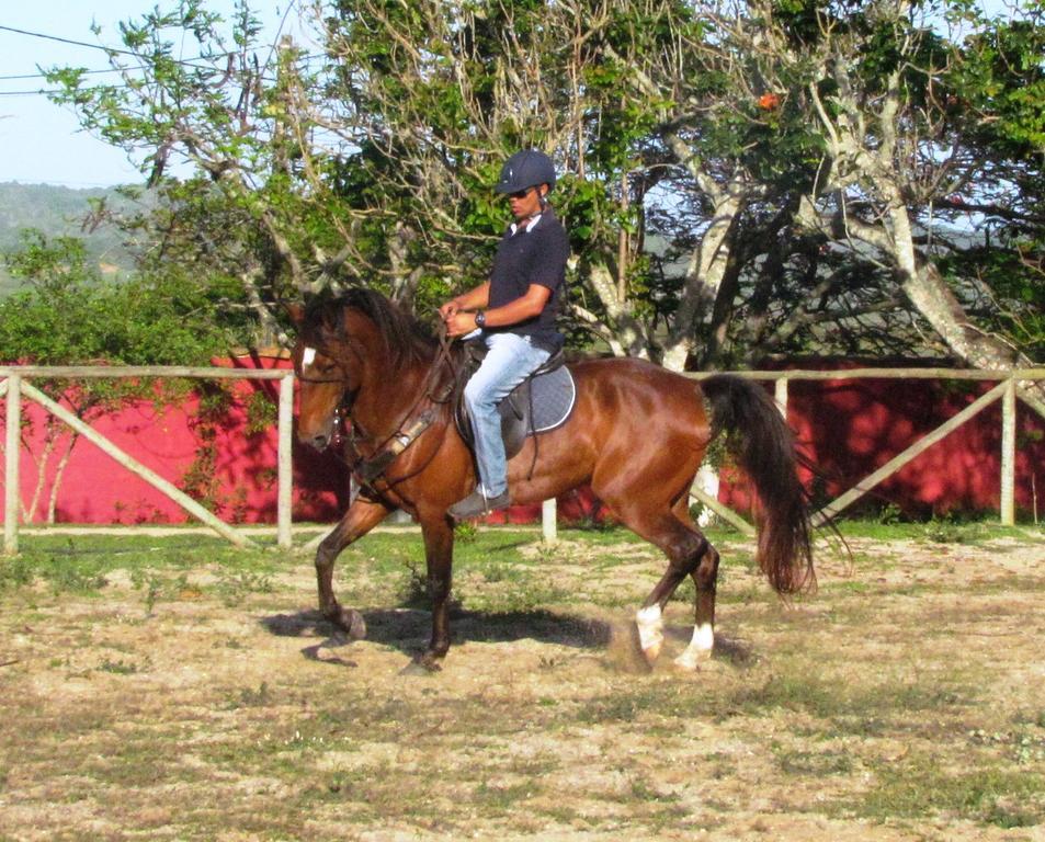 Pousada Fazendinha Buzios Luaran gambar