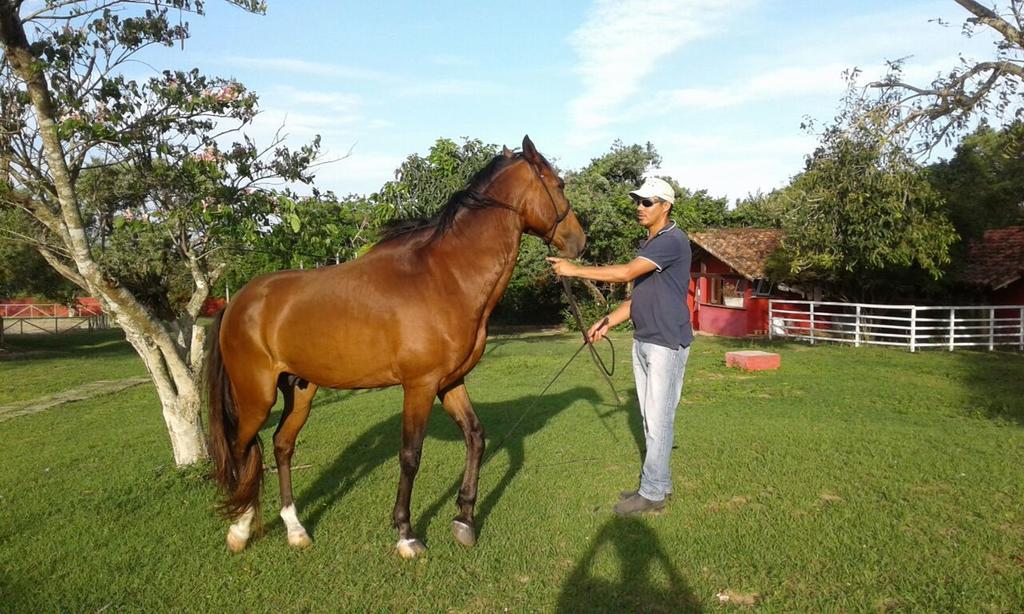 Pousada Fazendinha Buzios Luaran gambar